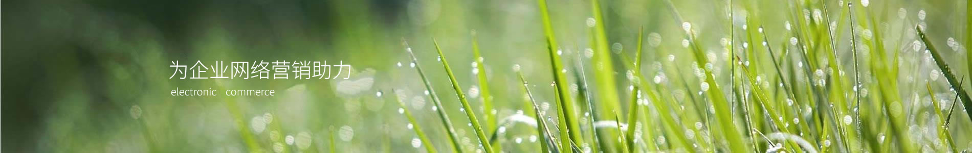 ̨ݹ̵½ֹ޹˾